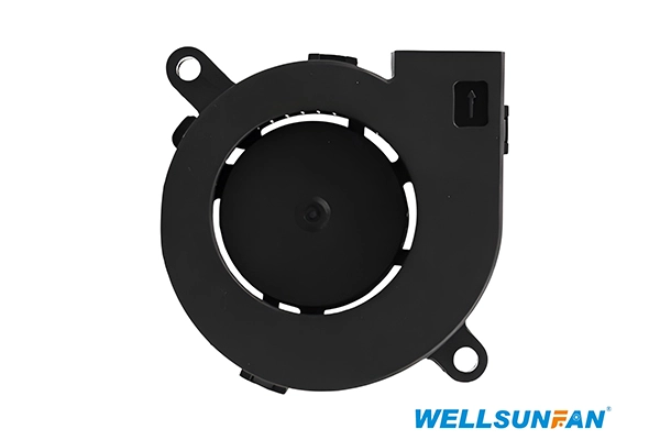 WD06025 DC Blower Fan